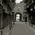 20120208030835-dsc03678