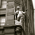 20120208031649-dsc05648