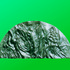 20120208084323-slavno_uskrsnu_e_-bronca