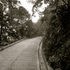 20120208123703-dscn0455