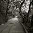 20120208123825-dscn0459
