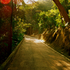 20120208124016-dscn0477