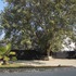 20120208125335-riyas_komu_-_rk_1
