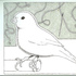 20120209014243-birdthread_web