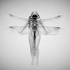 20120209145832-metamorphosis-12