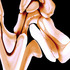 20120209155209-debra_kayata_hyacinth_transformation