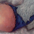 20120209172334-dreamcatcher