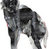20120209224903-contact_image_two