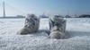 20120210021240-sl_v_poland_01