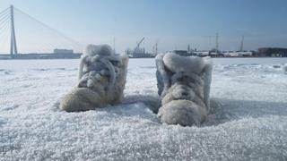 Salted Lake,Sigalit Landau