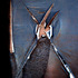 20120210175802-tucson_torn_