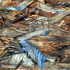 20120210180126-truckee__2_