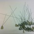 20120210194402-vellum_1