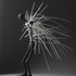 20120211215707-winged_no