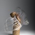 20120211220003-winged_no