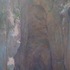 20120212004905-gallup