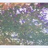 20120212212255-11