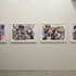 20120212232755-tbg2012_scheibitz_installview_11_share
