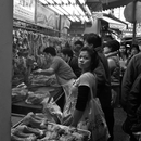 20120212233727-dscn0736
