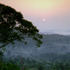 20120213012027-zarina_bhimji_webb
