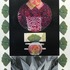20120213033016-gingko_desert_hybrid_medium