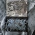 20120213033257-gray_trunk_hybird_medium_