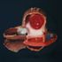 20120214031813-cordial_cherry