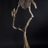 20120214034738-scrambling_home
