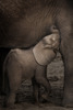 20120214230528-babyelephantnursing