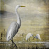 20120214231553-greategrets_oftheworld