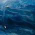 20120215005409-01__2