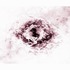20120215090701-1_-_magenta_sun