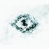 20120215090833-1_-_tirquaz_sun