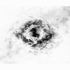 20120215090907-1_-_white_sun