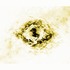 20120215090933-1_-_yellow_sun