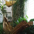 20120215213849-pict5080