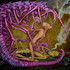 20120216035052-lokiswife