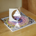 20120216065158-cotmhb_09