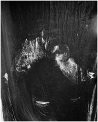  Vagina/Vase (Imprint),Talia Chetrit