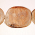 20120217090706-dollar