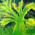 20120217160213-piantamagica1