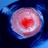 20120217161807-lunaovunque1b