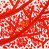 20120217180240-narciso_disintegrato_35x50