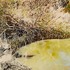 20120218014259-yokell_b