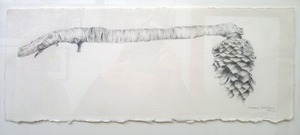 20120218014722-durhama