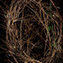 20120218135107-schatten14