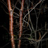 20120218135236-schatten12