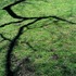 20120218135410-untland6