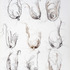 20120218171416-_dsc0818hr