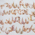 20120218171530-_dsc4179hr